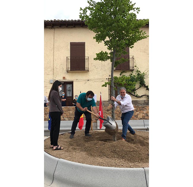 Montejo de la sierra inaugura su nueva plaza, plantando un haya ? por Europa