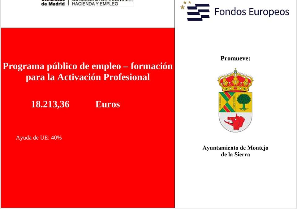 Program Público de Empleo Cartel Juvenil